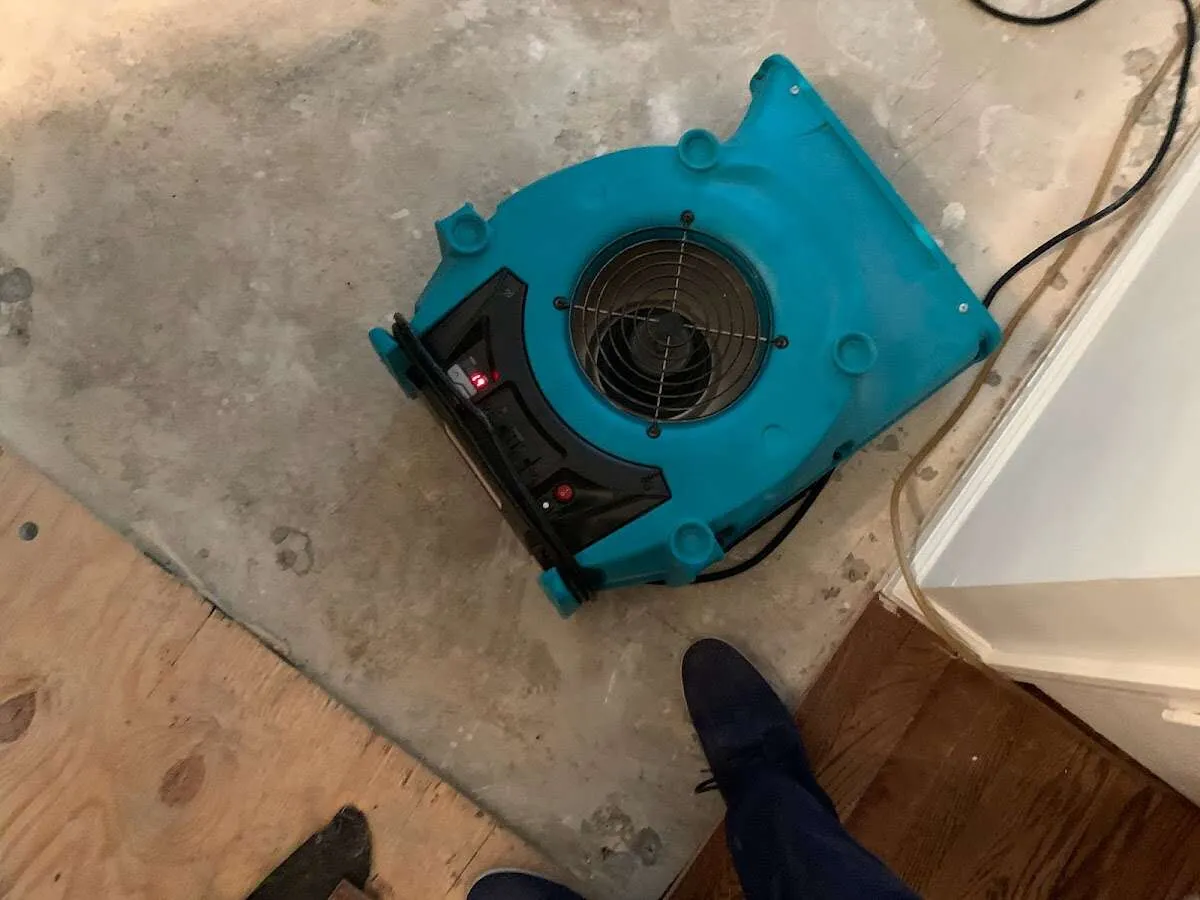 Air mover drying subfloor during Leak Detection & Repair in Holland
