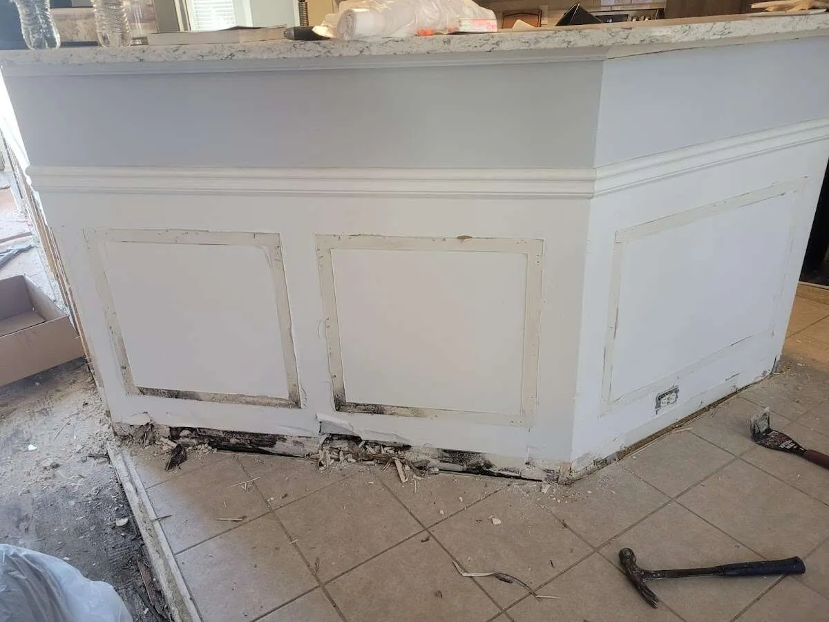 Water damage and mold on kitchen during Sewage Cleanup & Sanitation in Holland